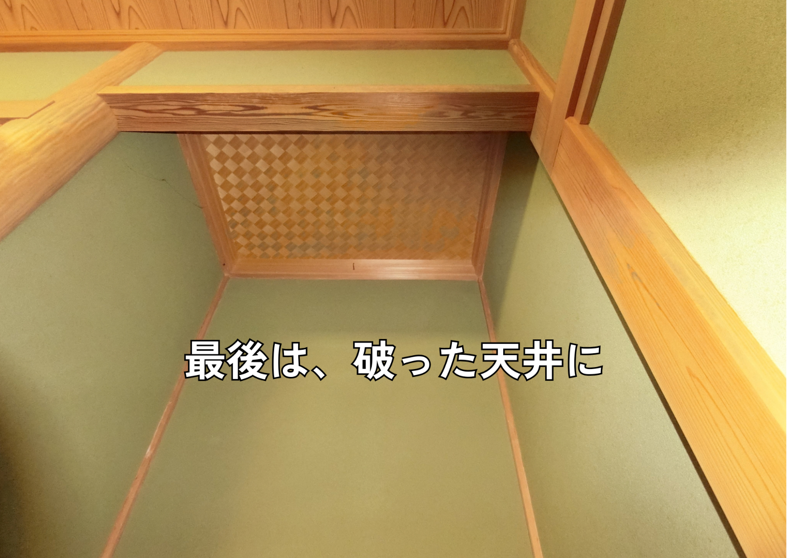 ハチの巣